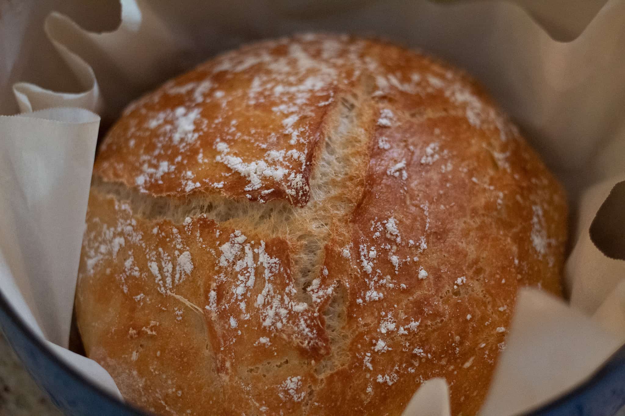 Dutch Oven Crusty Bread