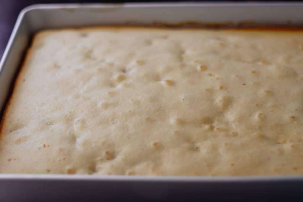 Unfrosted baked cake in a pan