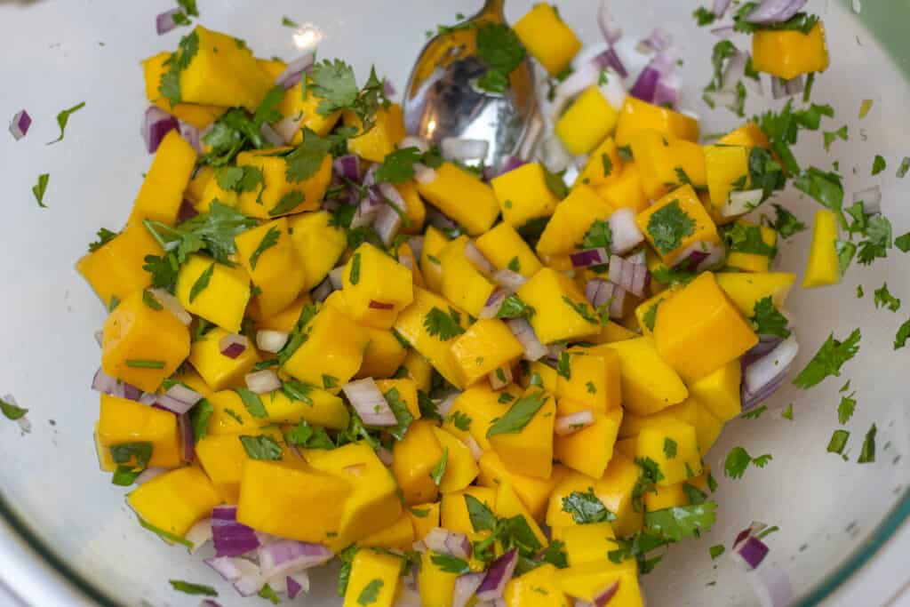 Bowl of mangos, red onion, and cilantro