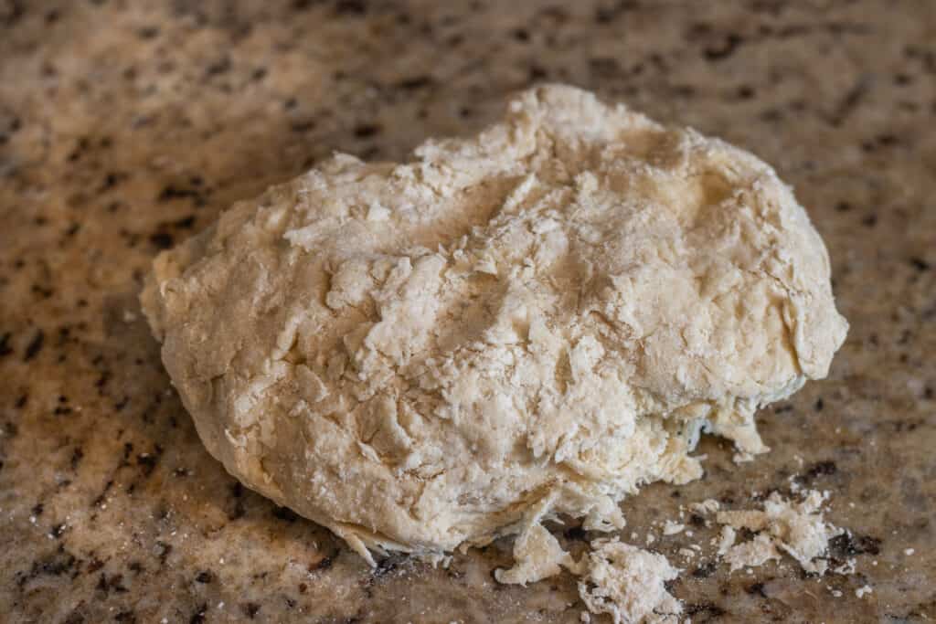 Raw unkneaded flatbread dough