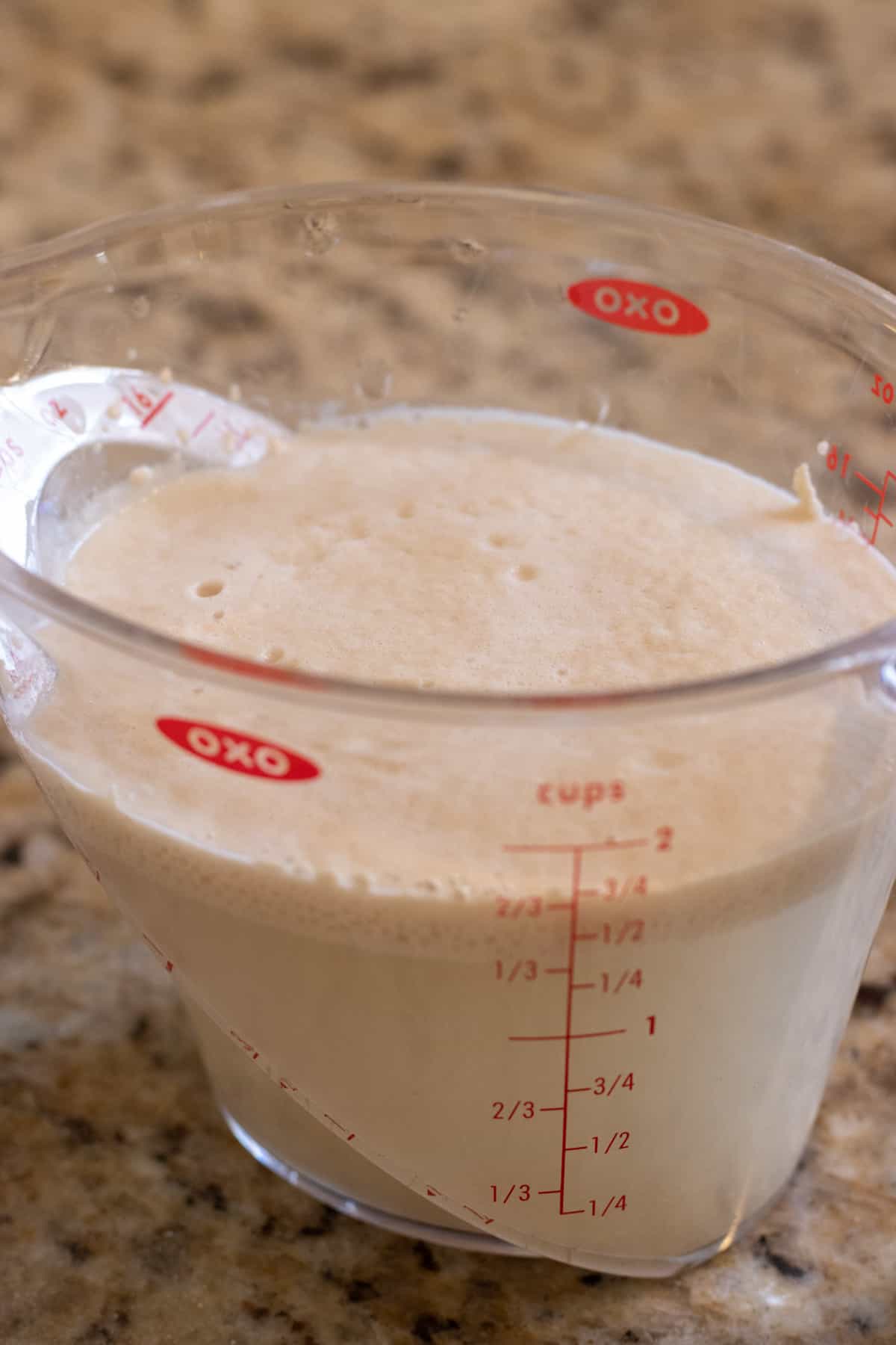 Frothy yeast water in a measuring cup.
