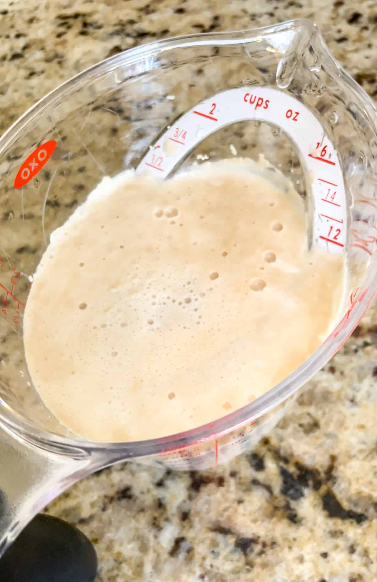 Foamy yeast water in a measuring cup.