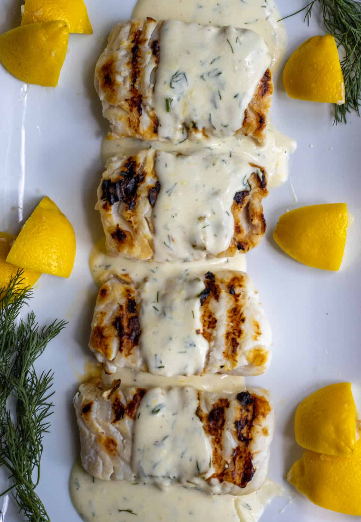 Grilled haddock filets on a platter with creamy lemon dill sauce poured over them.