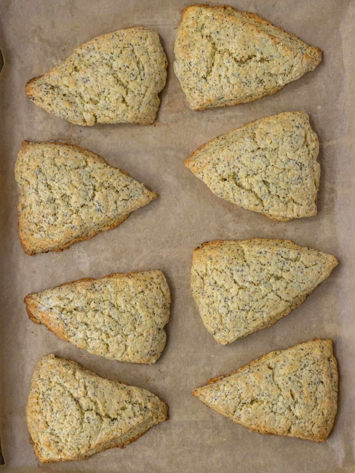 Lemon poppy seeds on a parchment-lined baking sheet after bakings.