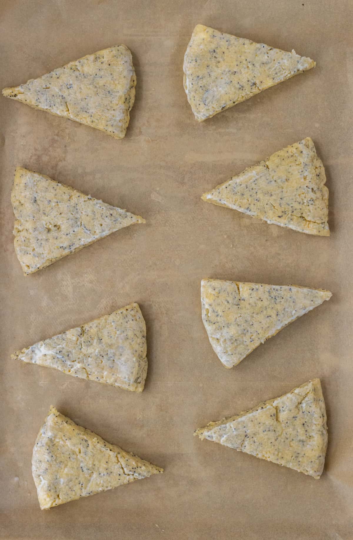 Unbaked lemon poppy seed scones on a parchment-lined baking sheet.