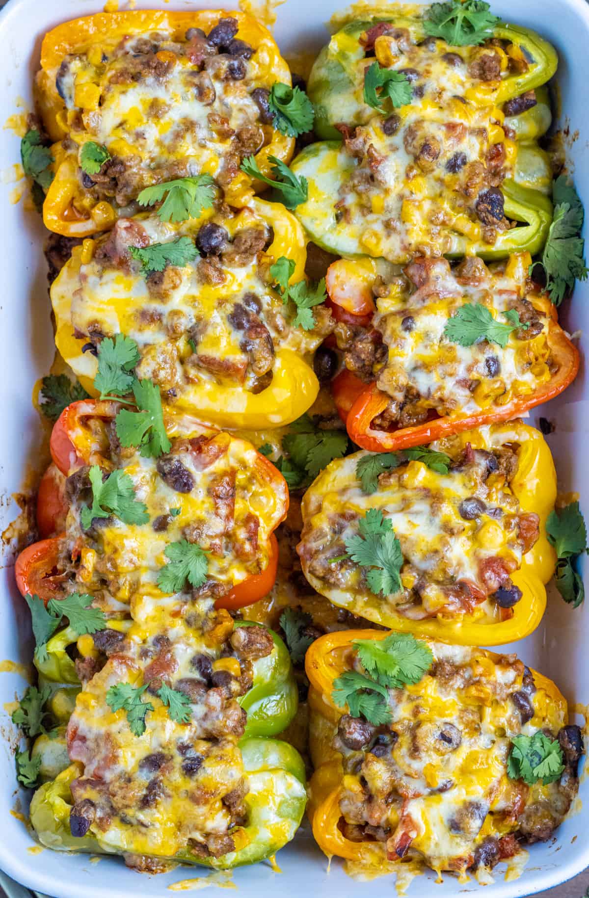 Eight taco stuffed peppers in a baking dish.
