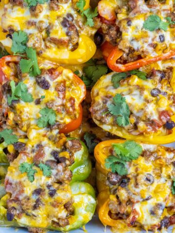 Six taco stuffed peppers in a baking dish.